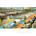 canning lemonade orange fruit juice production line